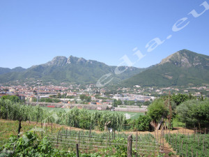 panorama-cava-OVEST_vivimedia