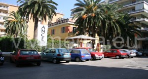 salerno ance vivimedia
