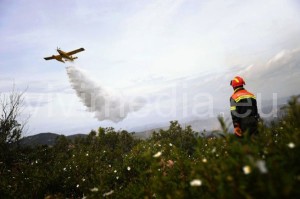 campagna-antincendio-boschivo-vivimedia