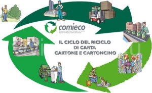 ciclo-riciclo-cartone-packaging-sostenibile-vivimedia