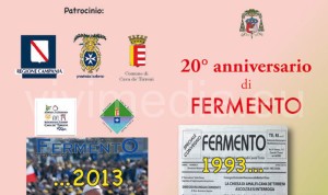 fermento-ventennale-2013-cava-de'-tirreni-vivimedia