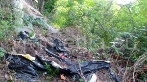 pineta-la-Serra-cava-de'-tirreni-discarica-nel-bosco-vivimedia