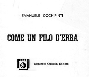 copertina-libro-occhipinti-versi-cavesi-maggio-2014-vivimedia