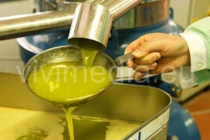 olio-di-oliva-vivimedia