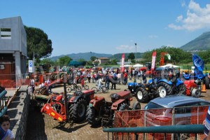 terra-sapori-raduno-giffoni-valle-piana-giugno-2014-vivimedia