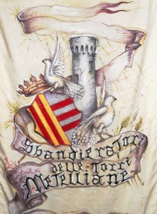 torri-metelliane-stendardo-vivimedia
