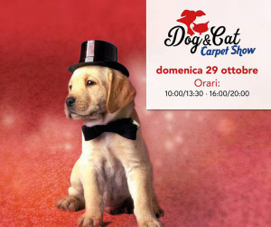 dog-e-cat-carpet-show-montecorvino-pugliano-ottobre-2017-vivimedia