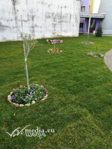 sogno-chiara-ix-edizione-eboli-giardino-inhospice-dicembre-2017-vivimedia